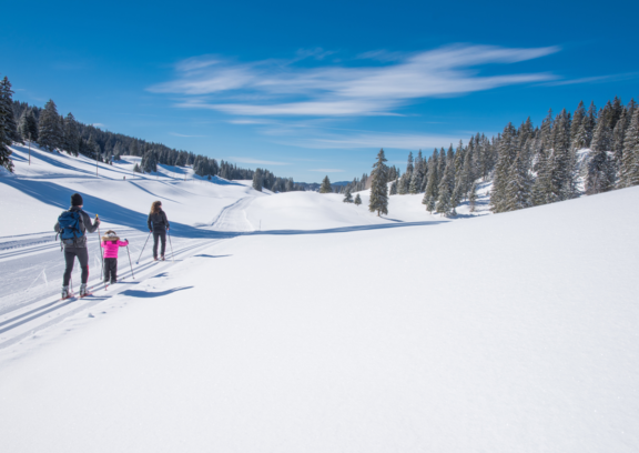 Cross-country skiing