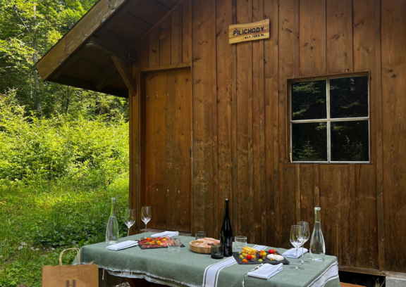 Picnic in the Risoud forest