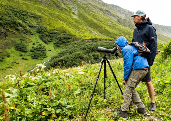 Guided tour "à la carte"