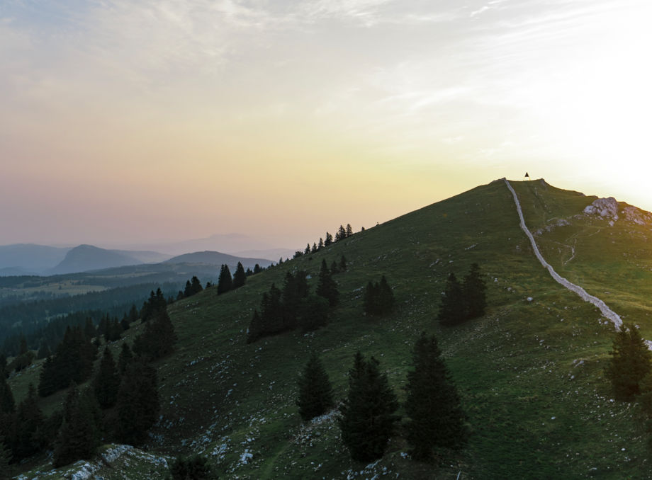 Welcome to Hotel des Horlogers